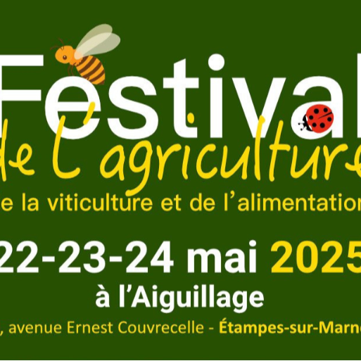 Actualité Festival